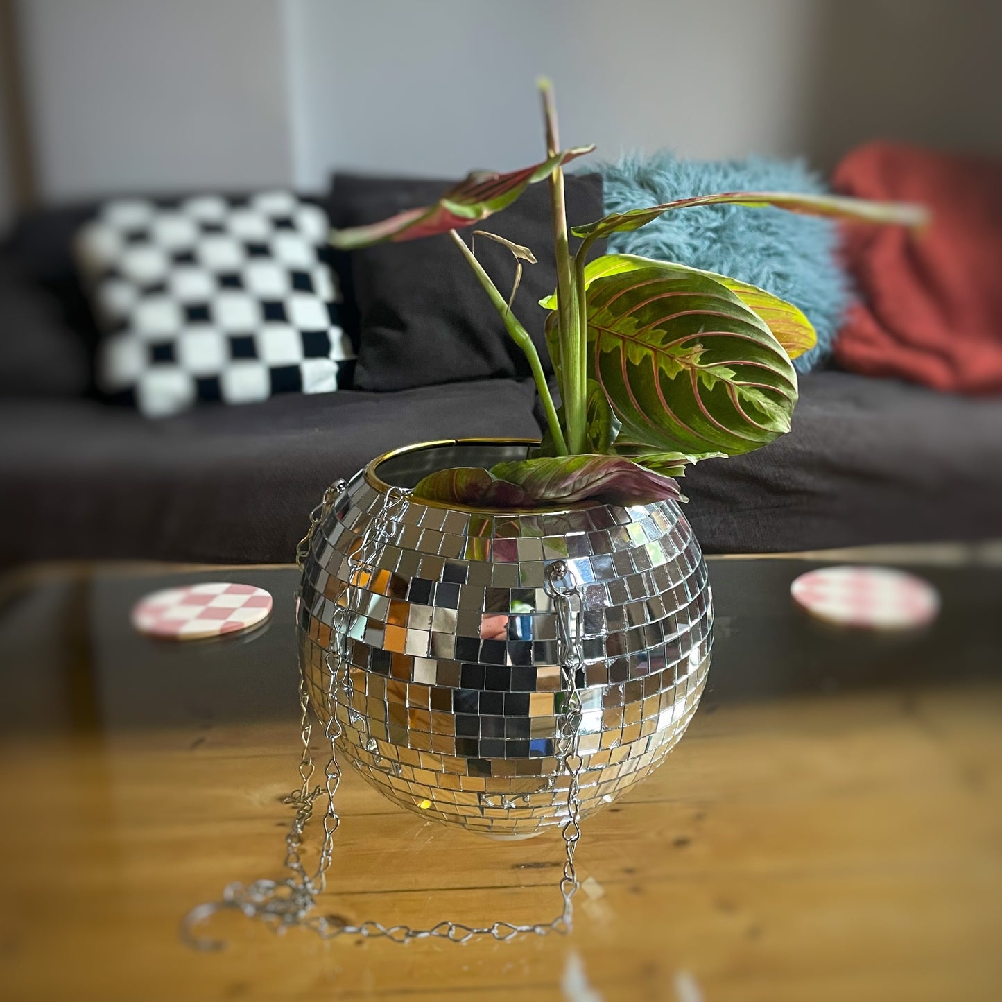 Disco Planter Kit