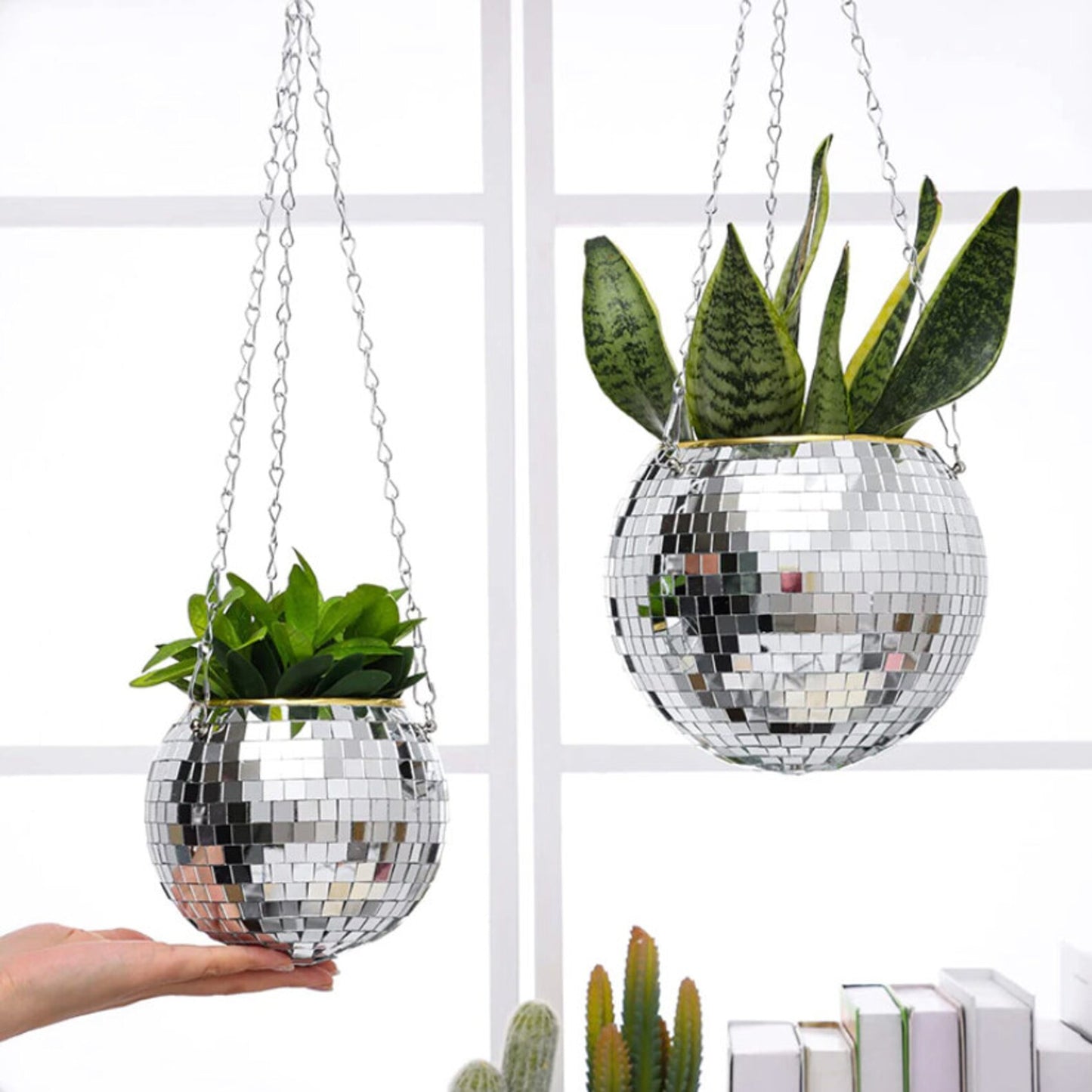 Disco Planter Kit